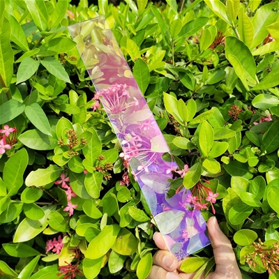 3mmAR玻璃 長(zhǎng)條形